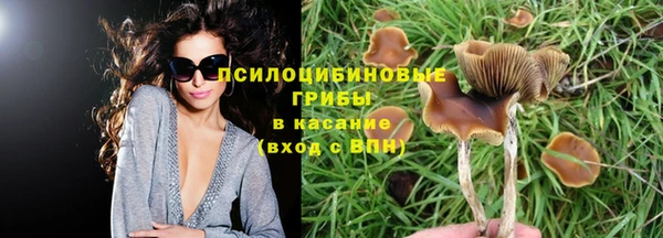 герыч Абаза